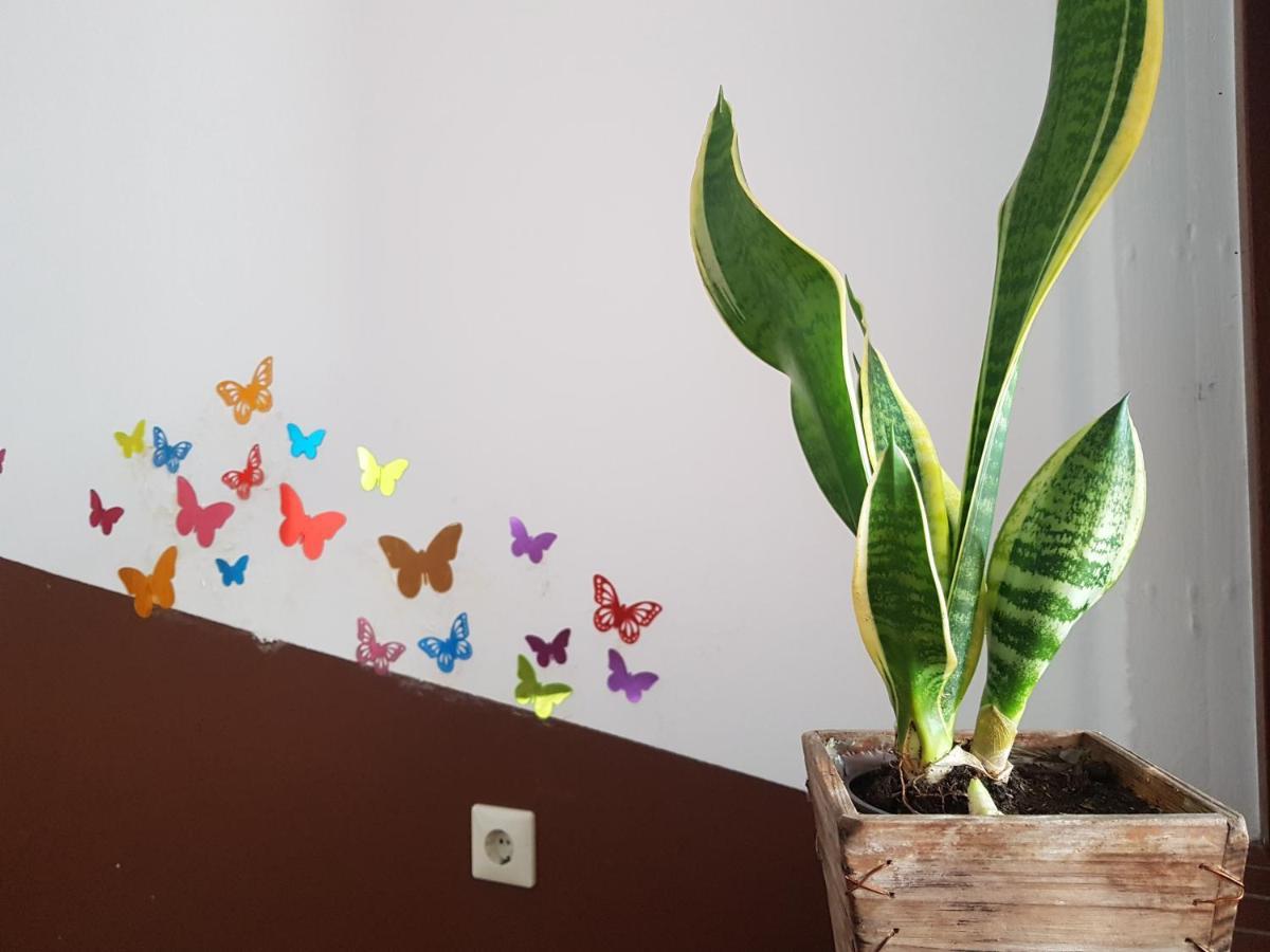 Penthouse Backpackers Hostel Όσναμπρουκ Εξωτερικό φωτογραφία