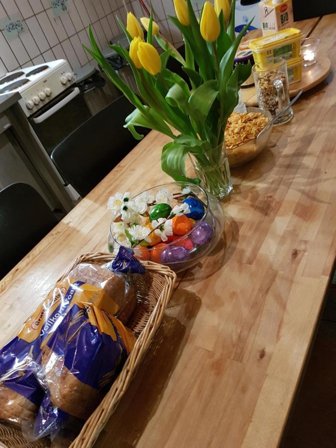 Penthouse Backpackers Hostel Όσναμπρουκ Εξωτερικό φωτογραφία