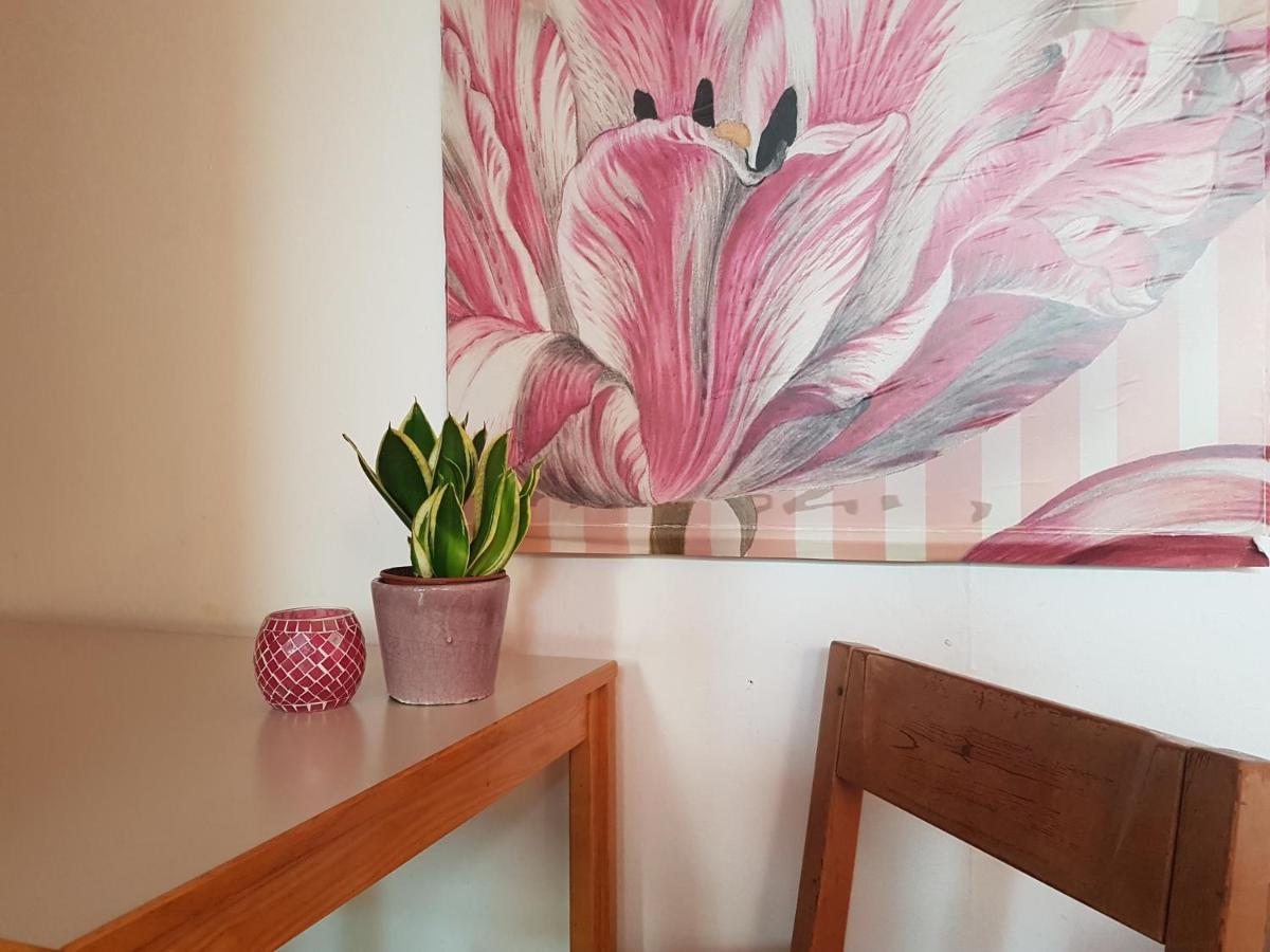 Penthouse Backpackers Hostel Όσναμπρουκ Εξωτερικό φωτογραφία